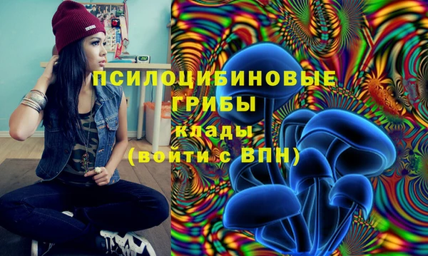 индика Абдулино