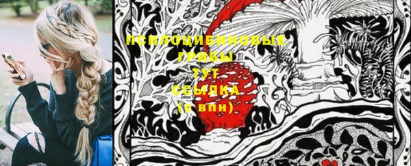 стафф Алексин